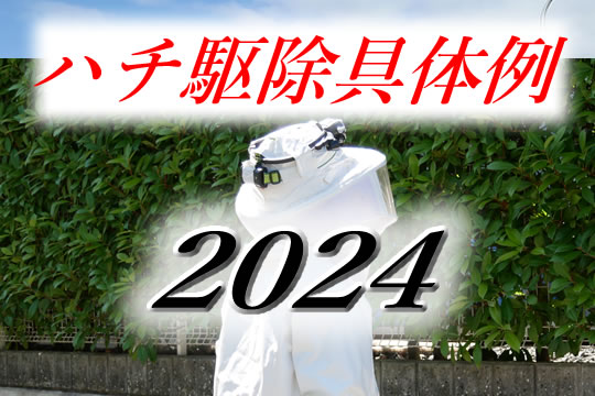 駆除具体例2024