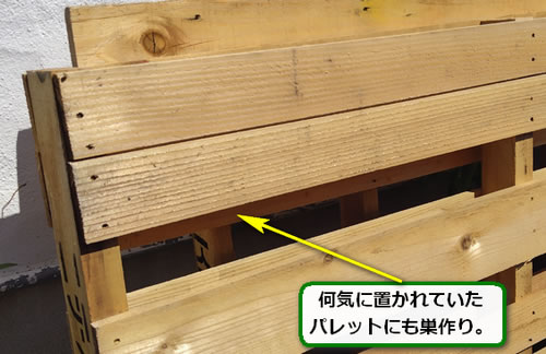 蜂の巣パレット